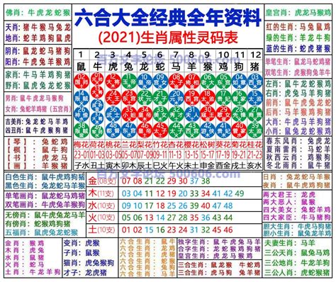 2024年是什麼生肖年|2024年生肖表 2024年生肖表图